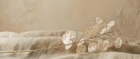 Dried lunaria branches with translucent seed pods on neutral beige linen fabric creating minimalist natural home decor composition.
