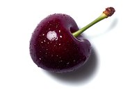 Fresh ripe dark cherry with water drops isolated on white background. Close up macro shot of single sweet cherry fruit with stem.
