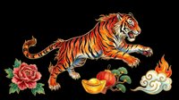 Leaping tiger with peony, gold ingot, lantern, flame and cloud elements, isolated on transparent background. Great for t-shirt design, stickers, sublimation, clipart, print on demand.