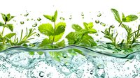 Fresh mint leaves with water drops floating in crystal clear splashing water wave, dynamic motion with bubbles and green herbs for beverage design.