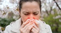 Young Caucasian woman sneezing into tissue outdoors during spring cherry blossom season, suffering from seasonal allergies and hay fever symptoms.