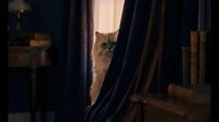 Curious ginger tabby cat peeking from behind dark curtains in moody interior setting, suitable for pet, home decor, and lifestyle content.