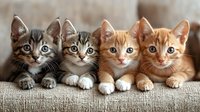 Four adorable kittens in a row on beige fabric, ranging from gray tabby to ginger color, all looking at camera with bright eyes and similar poses, showing diversity in cat breeds.