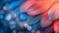 Delicate coral pink and deep blue feathers create dreamy macro composition with soft bokeh background, showcasing gentle texture and light patterns.