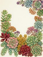 Colorful succulent plants frame border with empty space for text on beige background. Botanical illustration for greeting cards, invitations, posters.