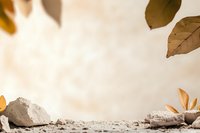 Minimalist autumn composition with stones and falling brown leaves on light beige background with soft shadows. Natural zen concept for wellness and spa.