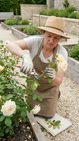 Middle-aged woman in apron and straw hat pruning roses in raised garden beds with stone walls and landscaping tools for gardening and horticulture projects.