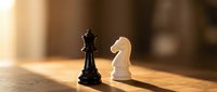 Black king and white knight chess pieces facing each other on wooden board in warm sunlight creating dramatic shadows for strategic game concepts.