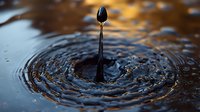 Single water drop creating concentric ripples on dark liquid surface with golden highlights, captured in high-speed macro photography showing surface tension dynamics.