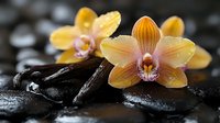 Yellow orchid flowers on wet black stones with water drops in dark spa setting, creating serene wellness atmosphere with soft natural lighting.