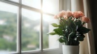 Soft pink roses in white ceramic pot on windowsill with natural sunlight streaming through window, creating peaceful morning atmosphere with blurred outdoor view.