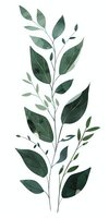 Watercolor green leaves and branches on white isolated background, botanical art style composition for nature-inspired designs and decorative projects.