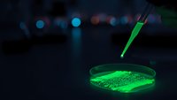 Green fluorescent liquid in petri dish with pipette dropping sample in dark laboratory setting with blurred lights creating scientific research atmosphere.