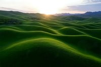 Rolling green hills stretch endlessly toward mountain horizon at sunset, vibrant grass creates smooth waves across pastoral landscape in golden evening light.