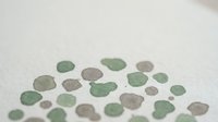 Natural green and brown sea glass pieces scattered on white surface for crafting and jewelry making projects.