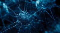 Glowing blue neuron cell with synaptic connections in dark background showing neural network activity and brain cell communication in microscopic view.