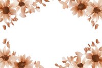 Delicate brown daisy flowers creating natural frame border on white background, isolated floral elements for greeting cards and romantic design projects.