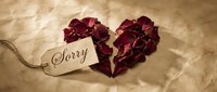 Dried rose petals arranged in a broken heart shape with a sorry tag on crumpled paper, symbolizing apology, regret, and heartbreak.