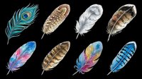 Feathers isolated on transparent background, ready for clipart, t-shirt design, stickers, print-on-demand products, sublimation and digital crafts.