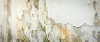 Weathered concrete wall with peeling white paint, moss stains, and aged texture. Suitable for grunge backgrounds, industrial design, and urban decay concepts.