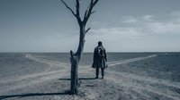 Solitary traveler stands at crossroads near dead tree in barren desert landscape, symbolizing choice, journey, and decision-making for editorial and conceptual projects.