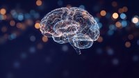 Digital brain network with glowing neural connections on dark blue background with bokeh lights for artificial intelligence and technology concepts.