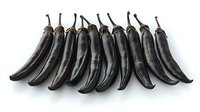 Row of fresh black chili peppers arranged in line on white background, dramatic lighting creates shadows beneath. Isolated food photography for culinary designs.
