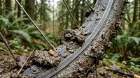 Mountain bike tire on muddy forest trail with dirt and vegetation, suitable for outdoor sports, adventure, and cycling promotional materials.