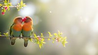 Two colorful lovebirds perched on flowering branch in soft natural light. Romantic wildlife scene with green and orange plumage birds sitting together on blooming twig.