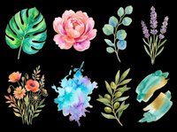 Watercolor botanical elements collection featuring monstera leaf, peony flower, eucalyptus branches, lavender sprigs, wildflower bouquet, abstract ink splash, olive branches, and feather strokes. Isolated on transparent background, ready for t-shirts, clipart, stickers, and print-on-demand designs.