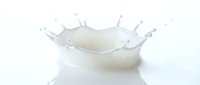 White milk splash with crown formation and droplets on clean background for dairy product advertising and beverage marketing campaigns.