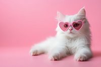 Adorable white fluffy cat wearing pink heart-shaped sunglasses lying on pastel pink background. Cute pet portrait for Valentine's Day greeting cards.