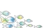 Colorful fish swimming in group formation on white background, marine life illustration for educational materials and aquatic themed designs.