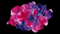 Vibrant watercolor paint splash in magenta, pink, and deep purple tones isolated on transparent background. Ready for t-shirt designs, clipart, stickers, sublimation, and print-on-demand projects.