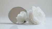 Delicate white rose reflected in round mirror on light background, creating soft romantic composition with gentle shadows and minimalist aesthetic appeal.