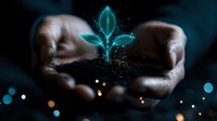 Glowing turquoise plant hologram floating above cupped dark hands against black background with bokeh lights, representing growth, technology and sustainability concept.