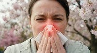 Middle-aged Caucasian woman sneezing into tissue during spring allergy season with cherry blossoms in background showing seasonal pollen reaction symptoms.