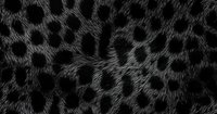 Dark leopard fur texture with black spots on gray background, natural animal print pattern creates luxurious and exotic surface design for fashion and textiles.