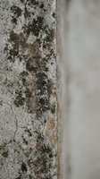 Weathered concrete surface with dark mold stains and natural aging patterns creating abstract texture for industrial design backgrounds.