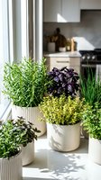 Fresh herbs growing in modern white planters on bright kitchen windowsill with natural sunlight for cooking and home gardening.