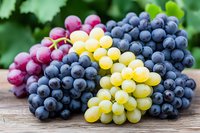 Fresh bunches of red, green and dark purple grapes on rustic wooden surface against blurred garden background. Natural organic fruit harvest composition.
