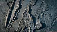 Detailed tire tracks and footprints pressed into wet sand creating textured patterns on beach surface for transportation and travel concepts.