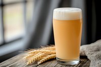 Fresh craft wheat beer in pint glass with golden foam head and raw wheat ears on rustic wooden table near window, natural lighting background.