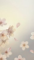 Soft pink cherry blossoms with falling petals on dreamy pastel background for spring wedding invitations and romantic designs.