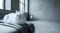 Fluffy white Persian cat sitting on gray blanket in modern minimalist bedroom with concrete walls and large windows creating peaceful atmosphere.
