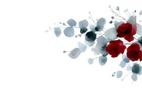 Delicate watercolor composition featuring vibrant red roses and soft gray eucalyptus leaves on white background, creating elegant botanical arrangement.