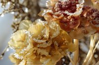 Delicate dried flowers covered in morning frost crystals, macro photography showing intricate ice formations on pale yellow petals in soft natural light.