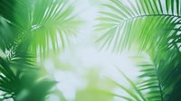 Lush palm fronds create dreamy tropical atmosphere with soft bokeh effect and sunlight streaming through green leaves, natural summer background.