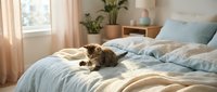Tabby cat sitting on unmade bed with blue pillows and beige linens in bright bedroom with window and potted plants, domestic pet lifestyle.