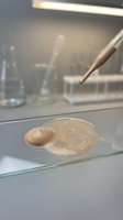 Laboratory petri dish with bacterial culture sample on glass surface under warm lighting, suitable for scientific research, microbiology education, and medical studies.